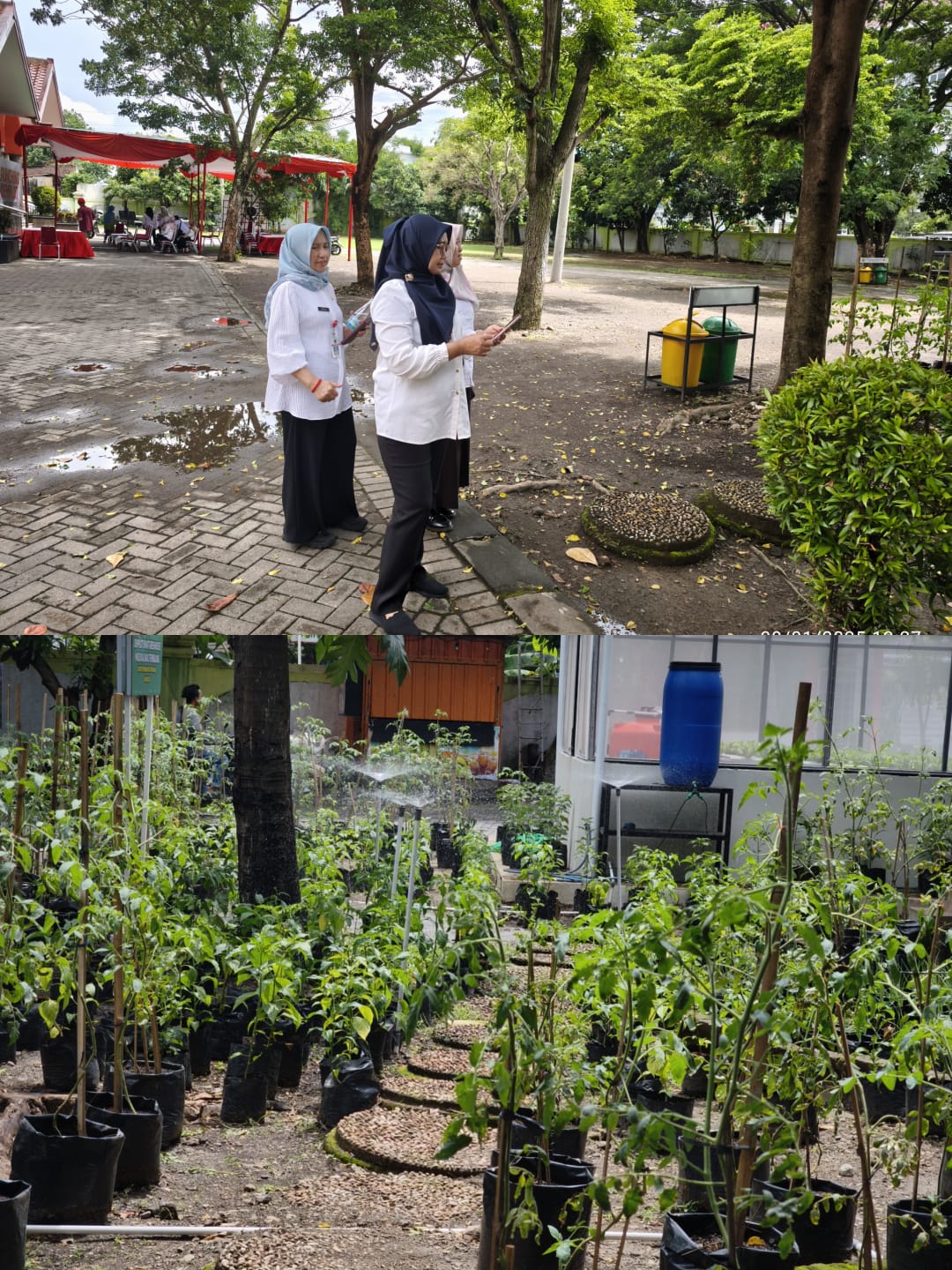 Uji Fungsi Sarana dan Prasarana Greenhouse di Masjid Al-Wali Semarang